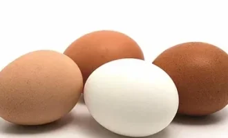 яйца